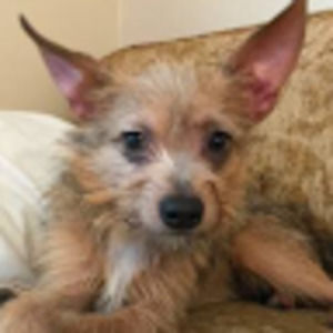 Meet your Posher, Jocelyn